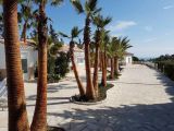 Finca-el-Morisco-2020_web.jpg