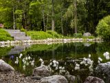 Kranzbichlhof Teich.jpg